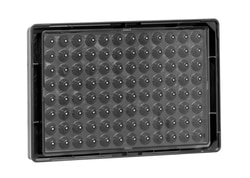 Greiner Bio-One 96-Well SCREENSTAR Spheroid Plate 1 Ea. | Buy Online | Greiner Bio-One | Fisher Scientific